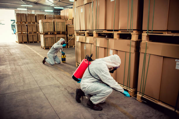 Best Pest Prevention Services  in , AL