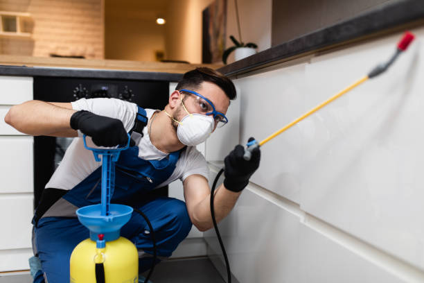 Best Affordable Pest Control Services  in , AL
