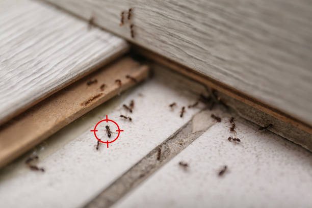 Best Emergency Pest Control  in , AL