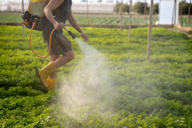 Best Pest Prevention Services  in , AL