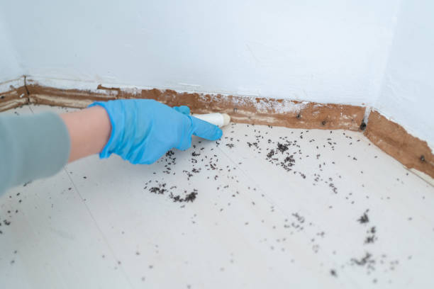 Best Bed Bug Extermination  in , AL